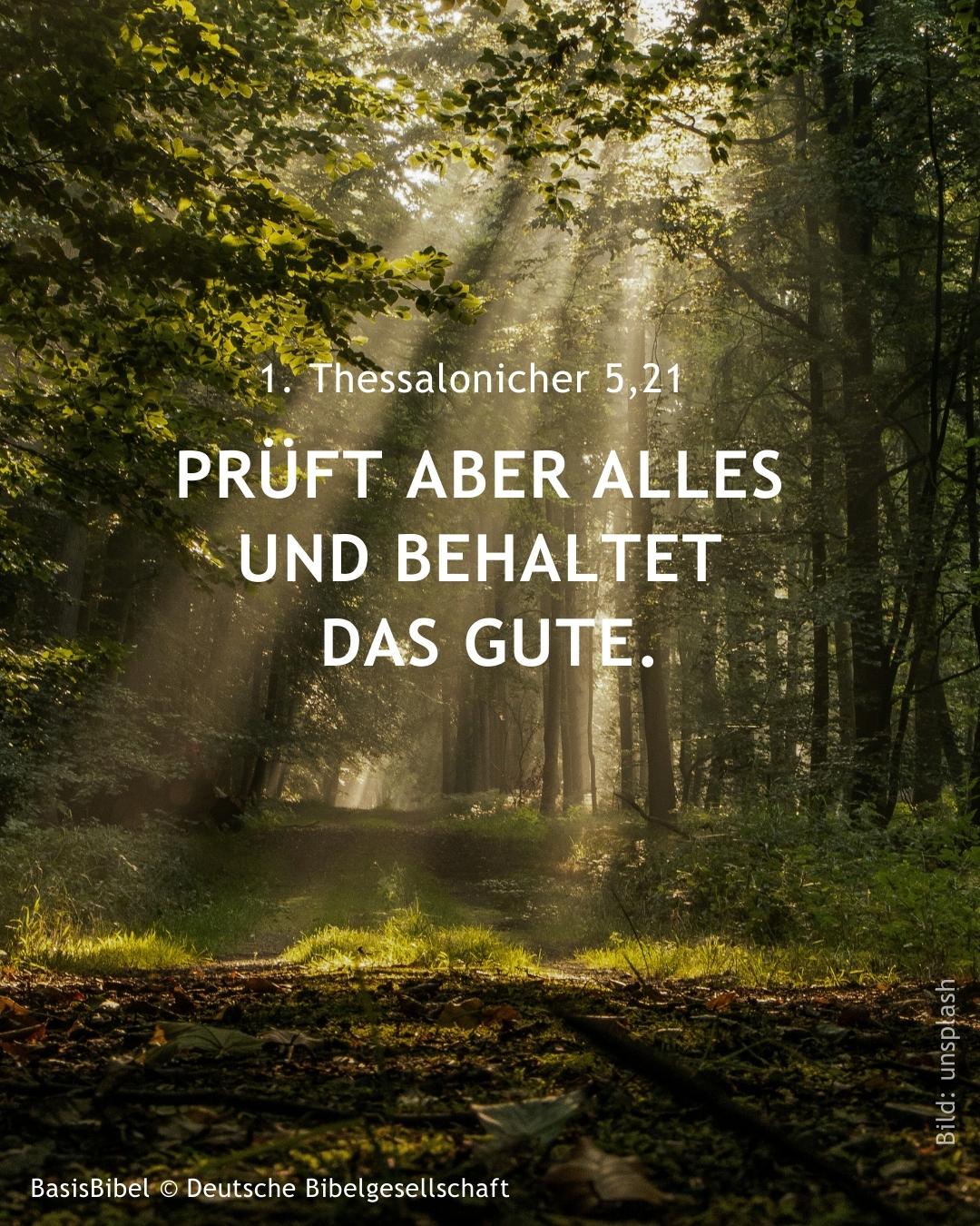 Jahreslosung_2025 (1080 x 1350 px) - 5 | Foto: Michael Held, unsplash/ekiba / fundus-medien.de Jahreslosung_2025 (1080 x 1350 px) - 5 | Foto: Michael Held, unsplash/ekiba / fundus-medien.de